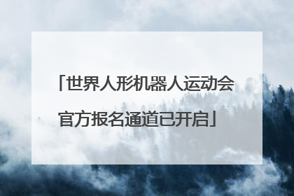 世界人形机器人运动会官方报名通道已开启