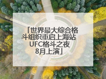 世界最大综合格斗组织重启上海站 UFC格斗之夜8月上演