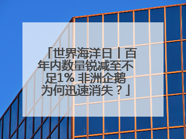 世界海洋日丨百年内数量锐减至不足1% 非洲企鹅为何迅速消失？