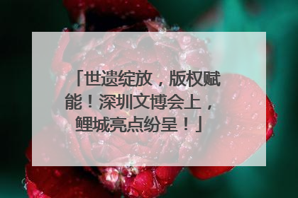 世遗绽放，版权赋能！深圳文博会上，鲤城亮点纷呈！