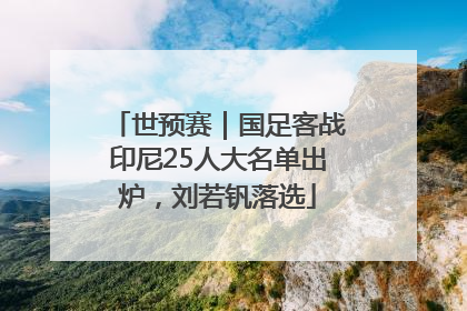 世预赛｜国足客战印尼25人大名单出炉，刘若钒落选