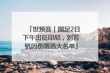 世预赛｜国足2日下午出征印尼，刘若钒因伤落选大名单