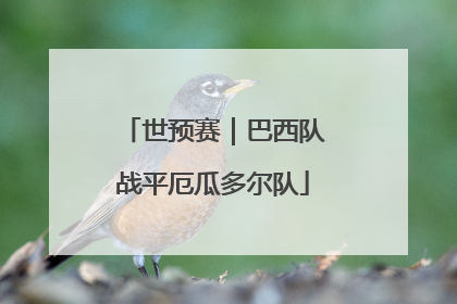 世预赛｜巴西队战平厄瓜多尔队