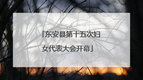 东安县第十五次妇女代表大会开幕