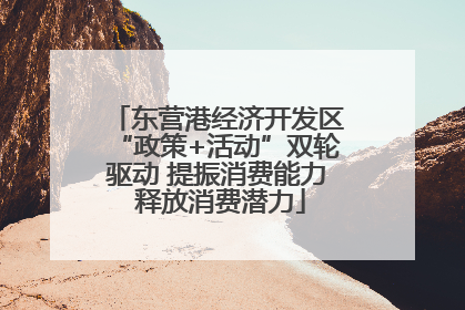 东营港经济开发区“政策+活动”双轮驱动 提振消费能力 释放消费潜力