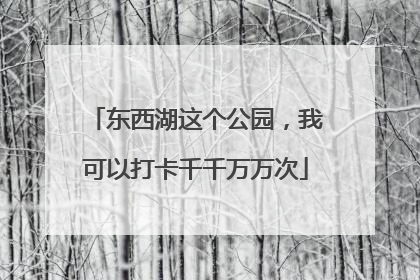 东西湖这个公园，我可以打卡千千万万次
