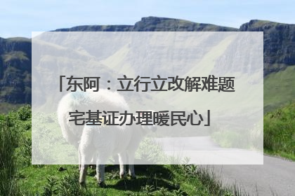 东阿：立行立改解难题 宅基证办理暖民心