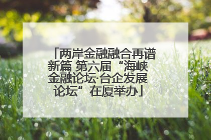 两岸金融融合再谱新篇 第六届“海峡金融论坛·台企发展论坛”在厦举办