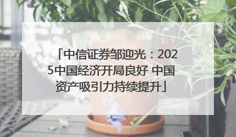 中信证券邹迎光：2025中国经济开局良好 中国资产吸引力持续提升