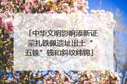 中华文明影响添新证 蒙扎铁佩遗址出土“五铢”钱和斜纹纬锦