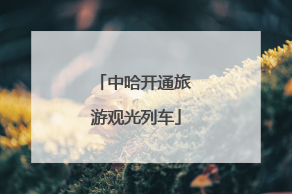 中哈开通旅游观光列车
