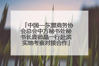 中国—东盟商务协会总会中方秘书处秘书长鹿德晶一行赴滨实地考察对接合作