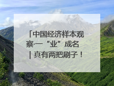 中国经济样本观察·一“业”成名｜真有两把刷子！“刷”出30亿级“颜值经济”