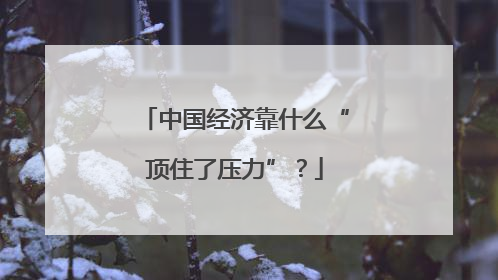 中国经济靠什么“顶住了压力”？