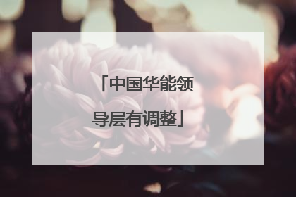 中国华能领导层有调整