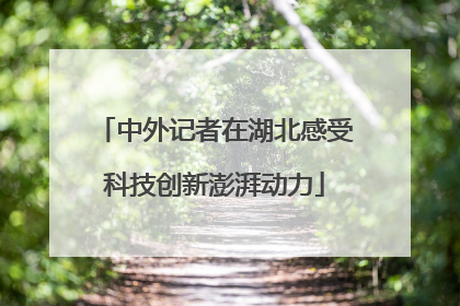中外记者在湖北感受科技创新澎湃动力