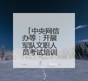 中央网信办等：开展军队文职人员考试培训专项整治