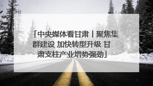中央媒体看甘肃丨聚焦集群建设 加快转型升级 甘肃支柱产业增势强劲