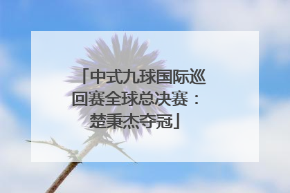 中式九球国际巡回赛全球总决赛：楚秉杰夺冠