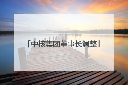 中核集团董事长调整