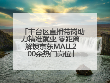丰台区直播带岗助力精准就业 零距离解锁京东MALL200余热门岗位