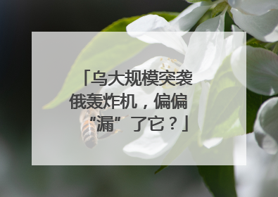 乌大规模突袭俄轰炸机，偏偏“漏”了它？