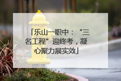 乐山一职中：“三名工程”迎终考，凝心聚力展实效