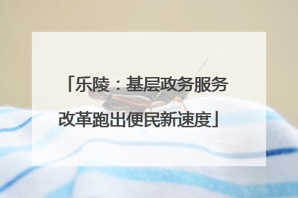 乐陵：基层政务服务改革跑出便民新速度