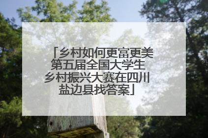 乡村如何更富更美 第五届全国大学生乡村振兴大赛在四川盐边县找答案