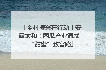 乡村振兴在行动丨安徽太和：西瓜产业铺就“甜蜜”致富路