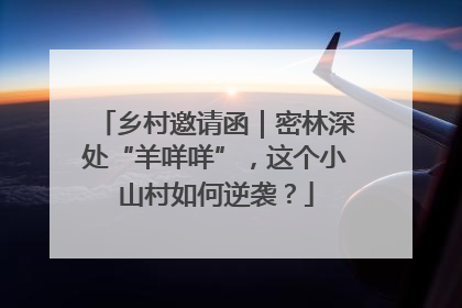 乡村邀请函｜密林深处“羊咩咩”，这个小山村如何逆袭？