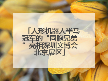 人形机器人半马冠军的“同胞兄弟”亮相深圳文博会北京展区