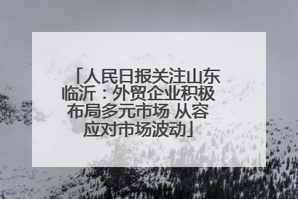 人民日报关注山东临沂：外贸企业积极布局多元市场 从容应对市场波动