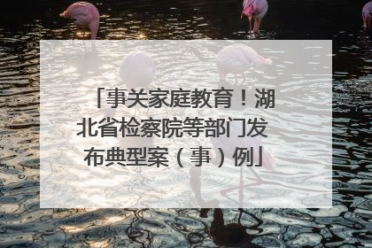 事关家庭教育！湖北省检察院等部门发布典型案（事）例