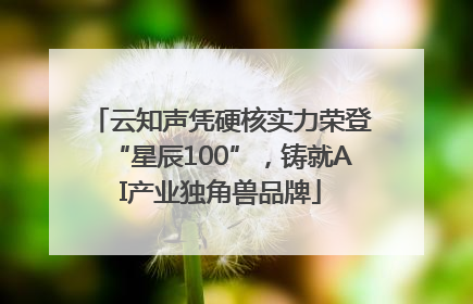 云知声凭硬核实力荣登“星辰100”，铸就AI产业独角兽品牌