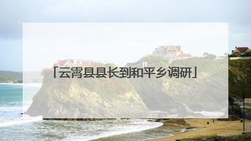云霄县县长到和平乡调研