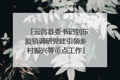 云霄县委书记到东厦镇调研党建引领乡村振兴等重点工作