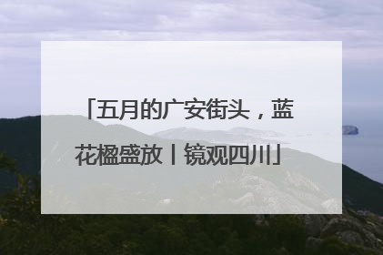 五月的广安街头，蓝花楹盛放丨镜观四川