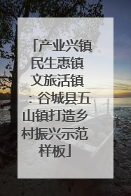 产业兴镇 民生惠镇 文旅活镇：谷城县五山镇打造乡村振兴示范样板