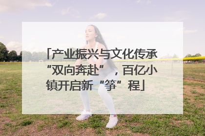 产业振兴与文化传承“双向奔赴”，百亿小镇开启新“筝”程