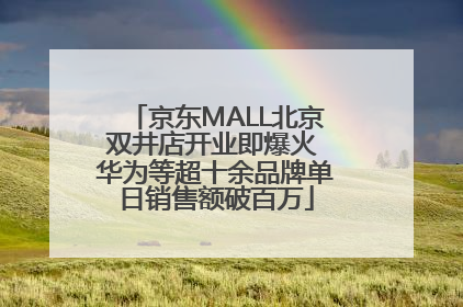 京东MALL北京双井店开业即爆火 华为等超十余品牌单日销售额破百万