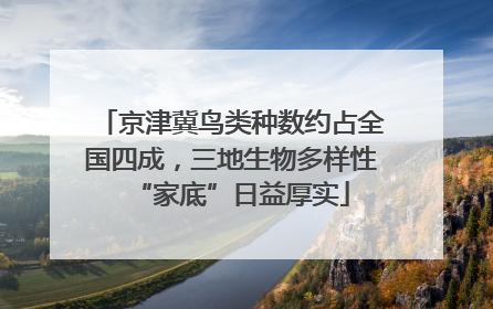 京津冀鸟类种数约占全国四成，三地生物多样性“家底”日益厚实