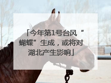 今年第1号台风“蝴蝶”生成，或将对湖北产生影响