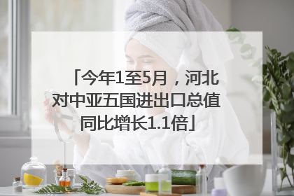 今年1至5月，河北对中亚五国进出口总值同比增长1.1倍