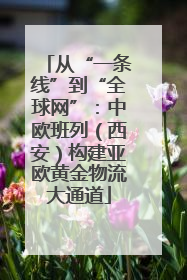 从“一条线”到“全球网”：中欧班列（西安）构建亚欧黄金物流大通道