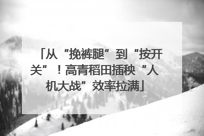 从“挽裤腿”到“按开关”！高青稻田插秧“人机大战”效率拉满
