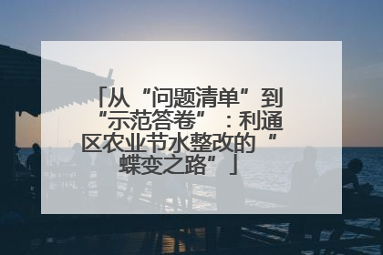 从“问题清单”到“示范答卷”：利通区农业节水整改的“蝶变之路”
