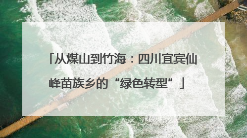 从煤山到竹海：四川宜宾仙峰苗族乡的“绿色转型”