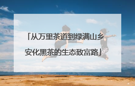 从万里茶道到绿满山乡 安化黑茶的生态致富路