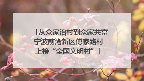 从众家治村到众家共富 宁波前湾新区傅家路村上榜“全国文明村”